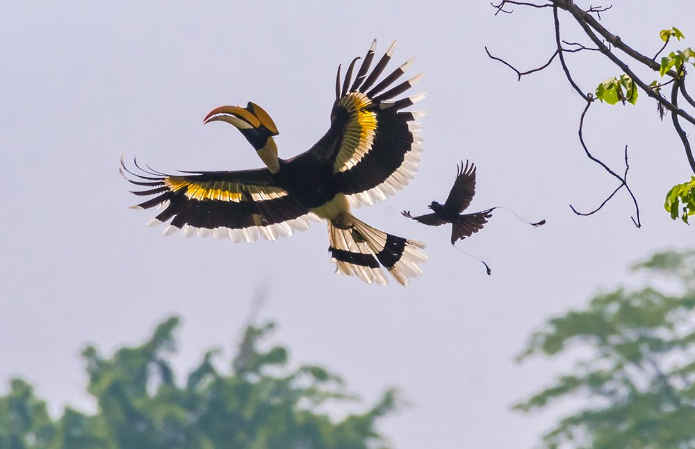 Photograph by Subhayan Ghosh