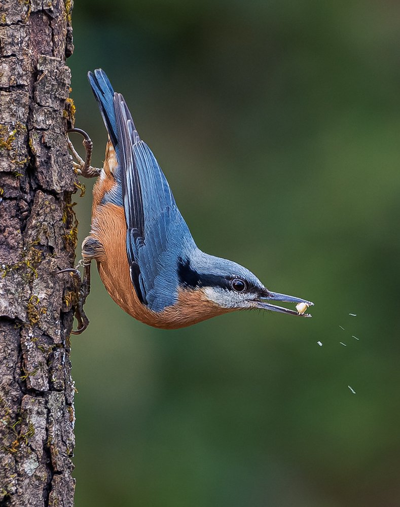 Photograph by Subhayan Ghosh