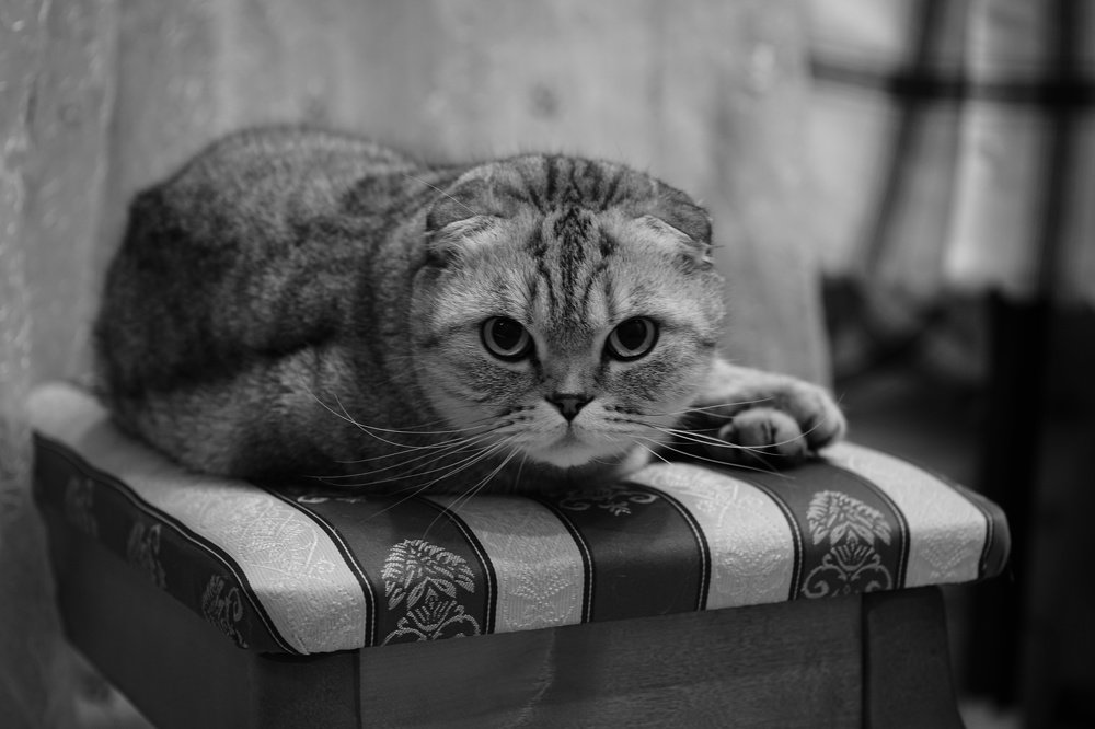 Photograph by Роман Алексеев