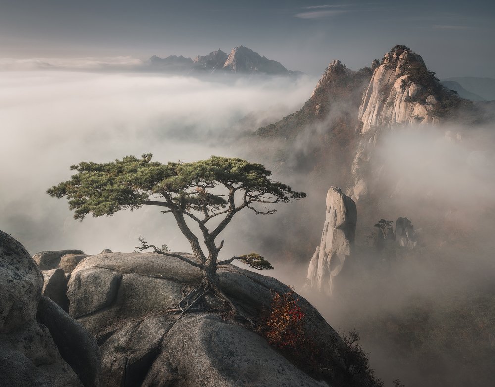 Photograph by Даниил Коржонов