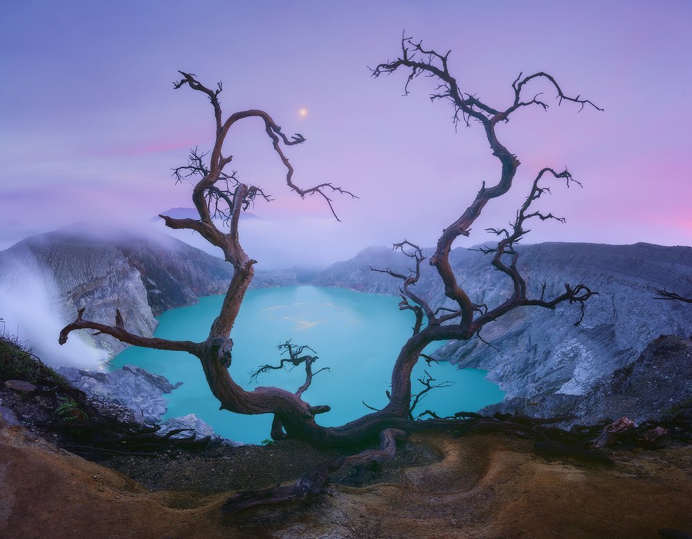 Photograph by Даниил Коржонов