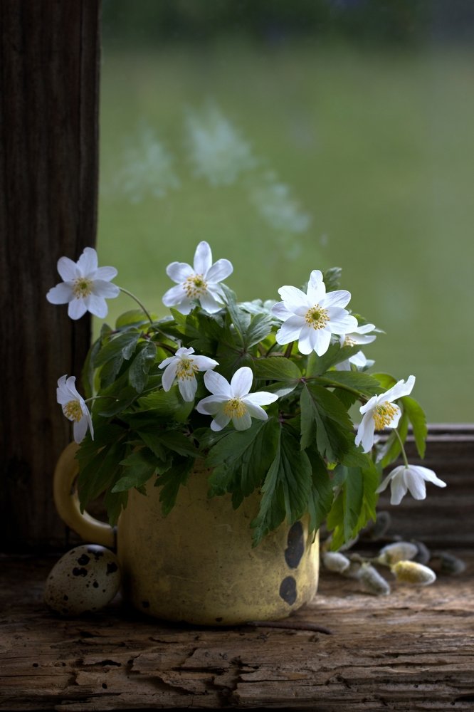 Photograph by Sonata Žemgulienė