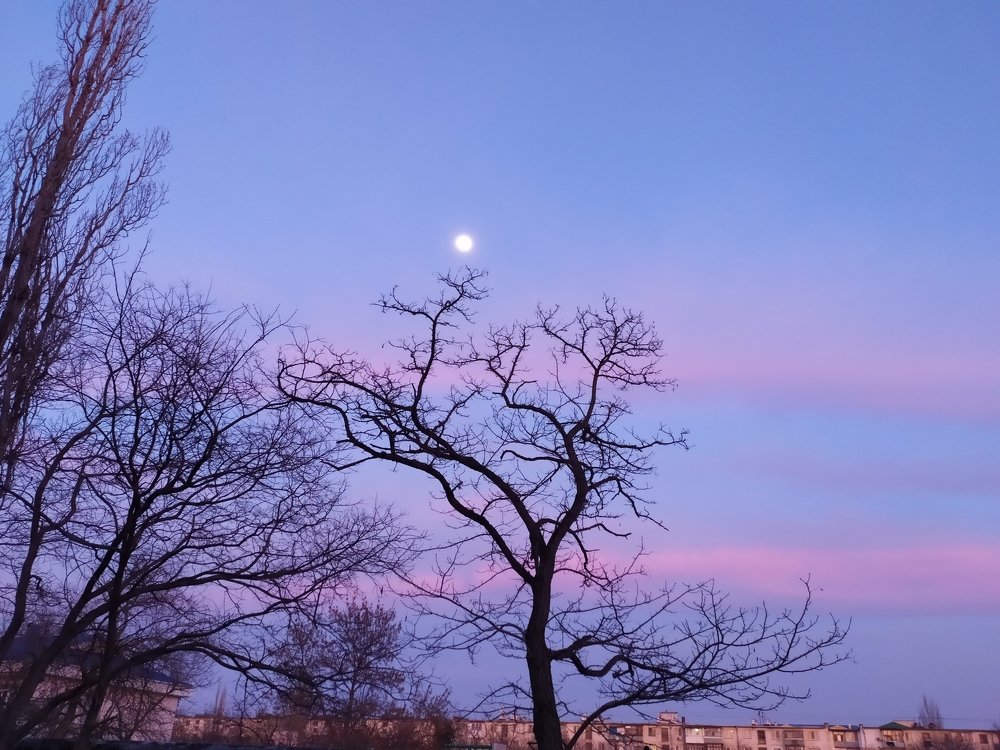 Весенний вечер.