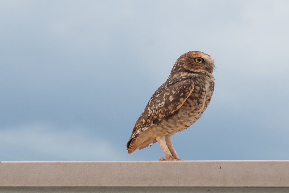 Photograph by Lívia Machado