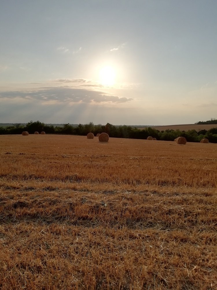 Photograph by Анна Володина