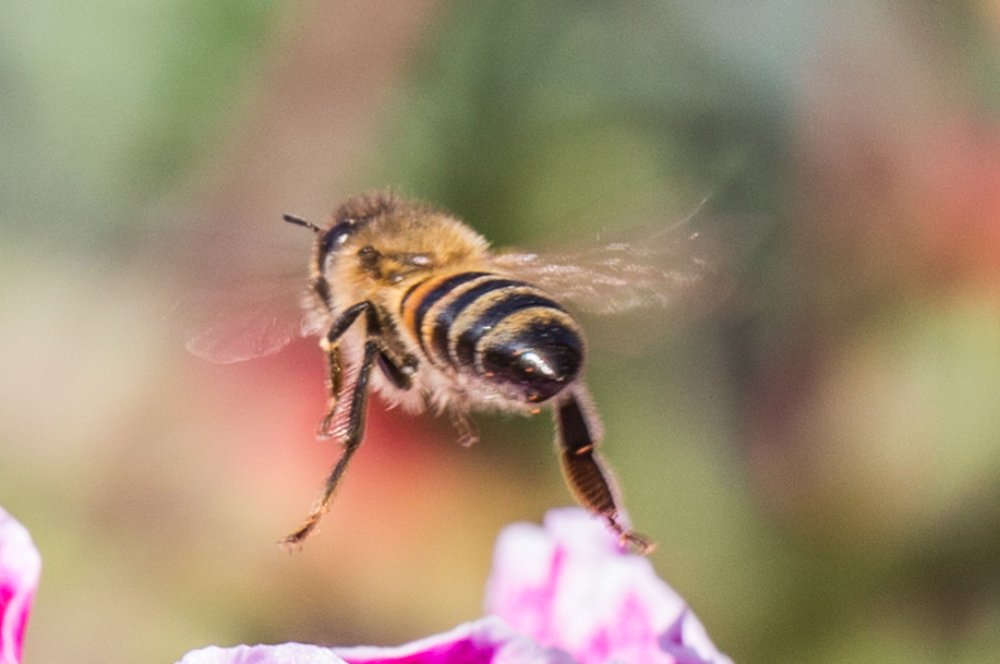 Photograph by Mahir Rustamov