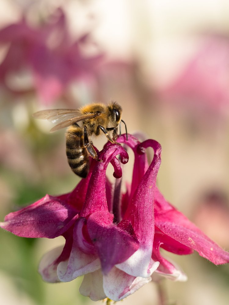 Photograph by Любовь Тернова