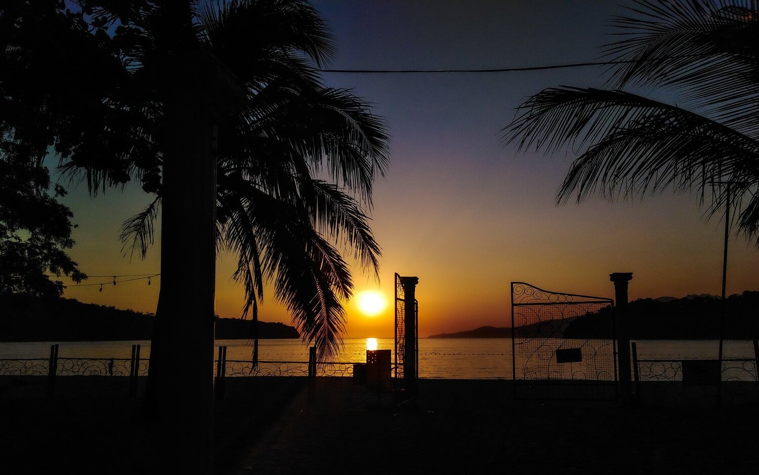 Photo #4532398