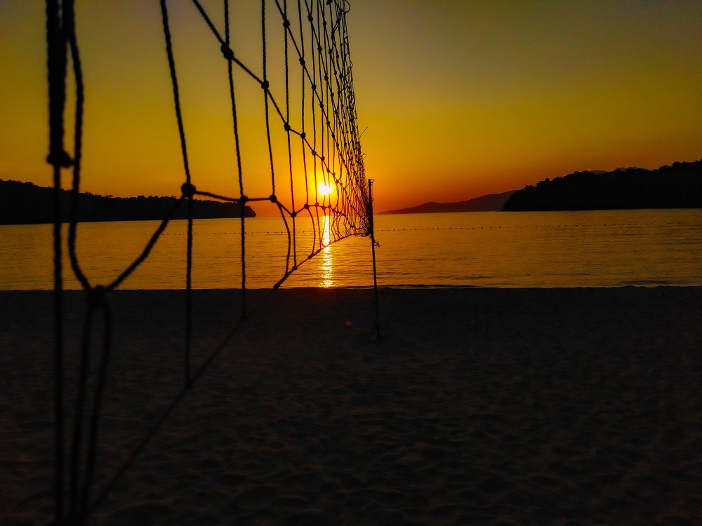 Photo #4532400