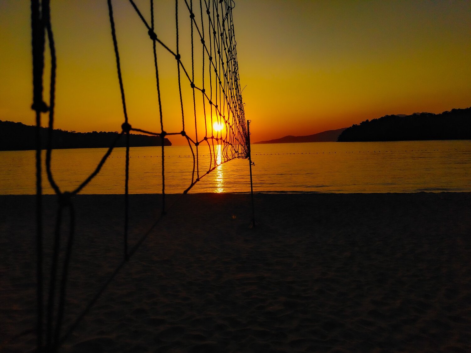 Photo #4532400