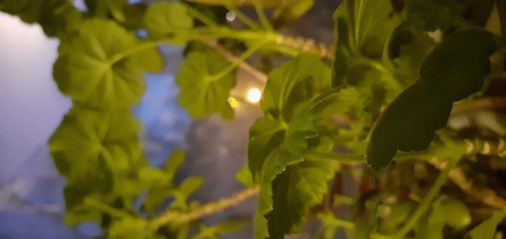 Photograph by Любовь Макарова