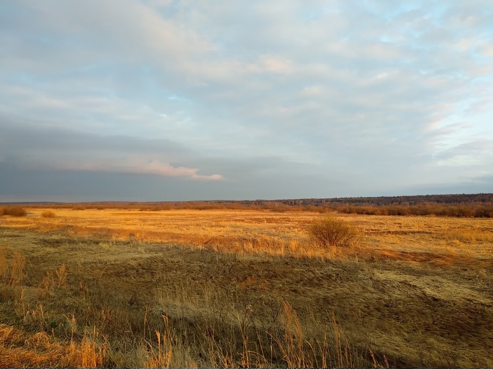 Photograph by Татьяна Азимова