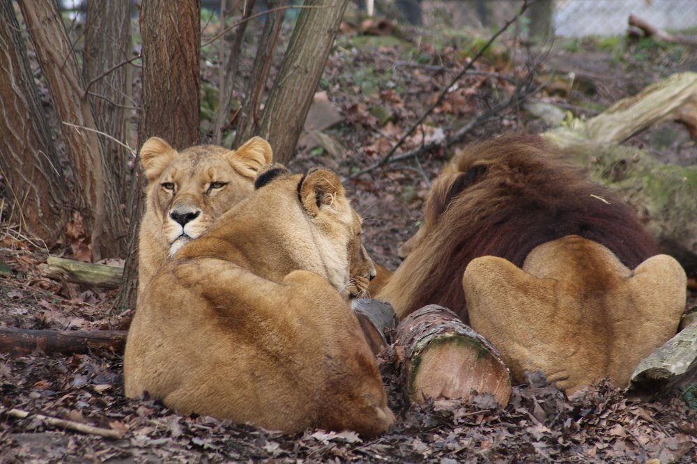 Фотография автора Андрій Майовець