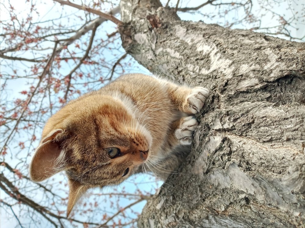 Photograph by Карина Винокуровая