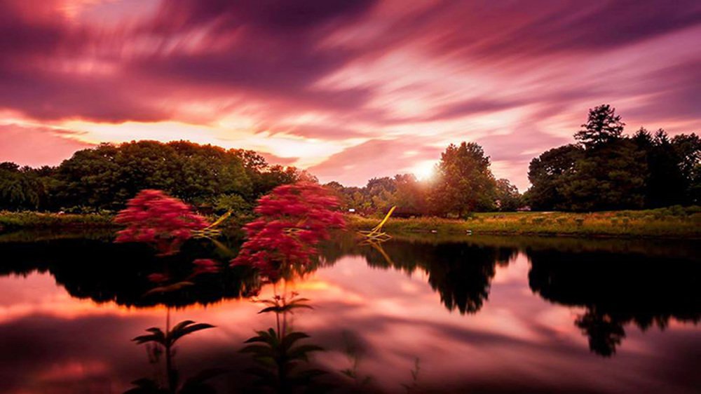 Фотография автора Qassem Ahmed Alzarra