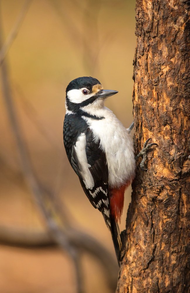 Photograph by Власов Егор