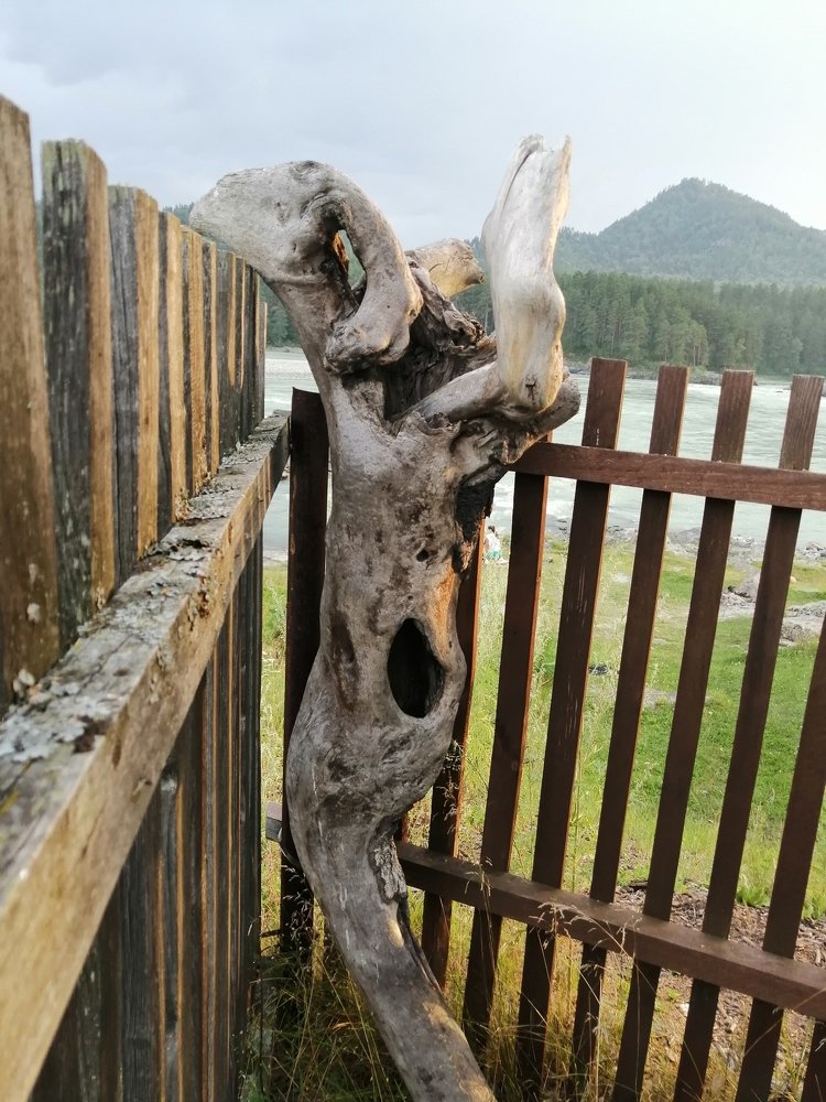 Photograph by Ольга Деньгина