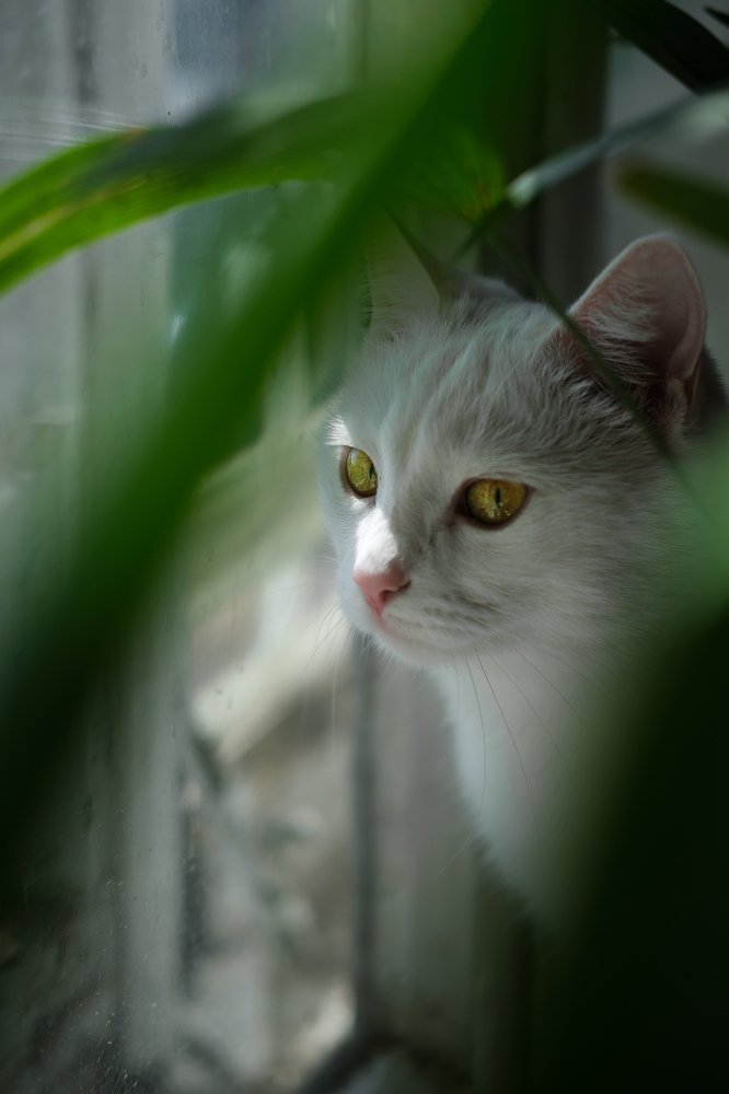 Photograph by Сергей Ганачьян