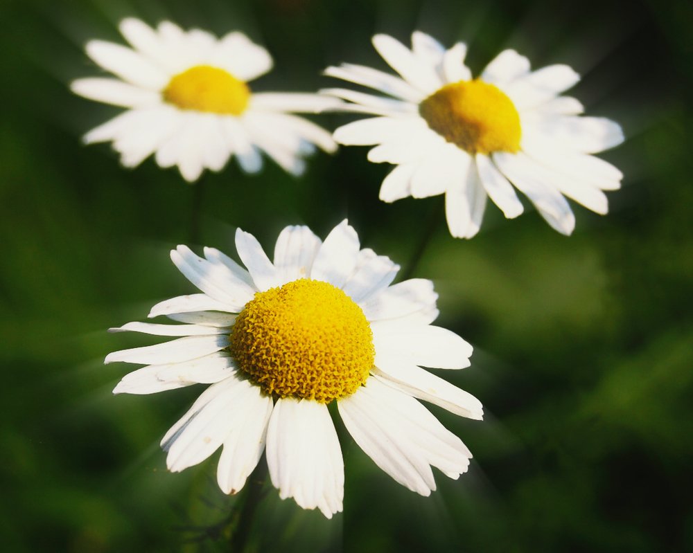 Photograph by Дмитрий