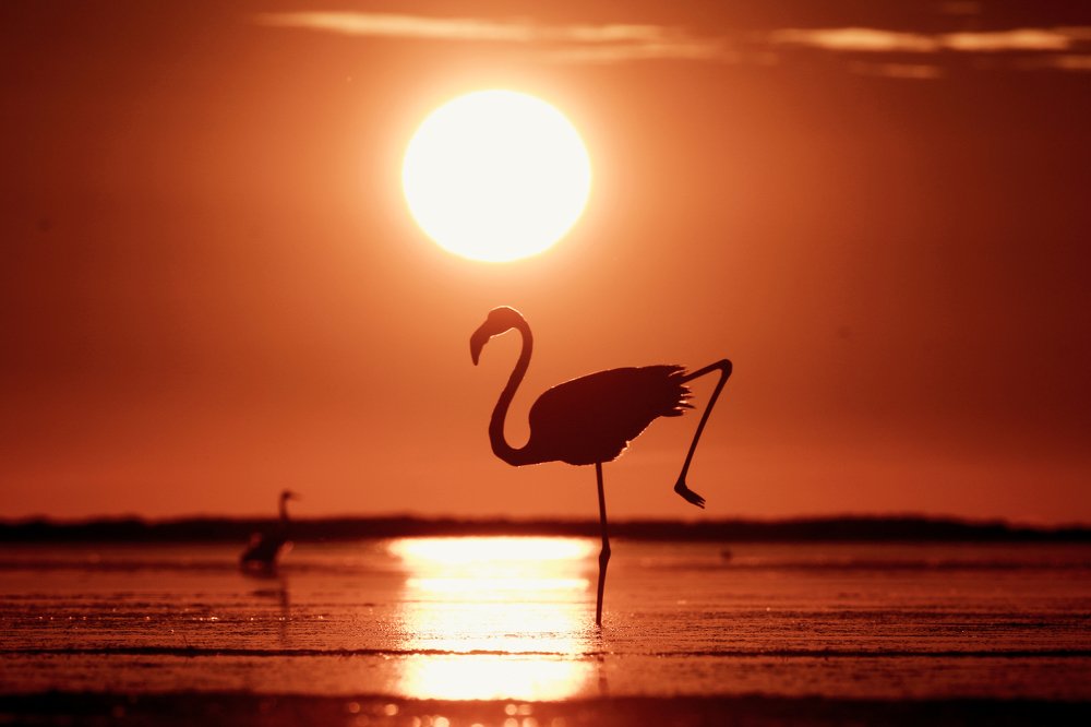 Photograph by Piotr Warzecha