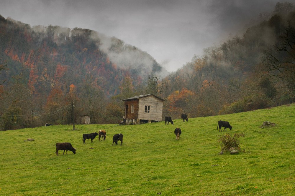 Photograph by Aminat Koxayeva