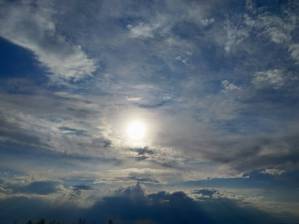 Вербное воскресенье