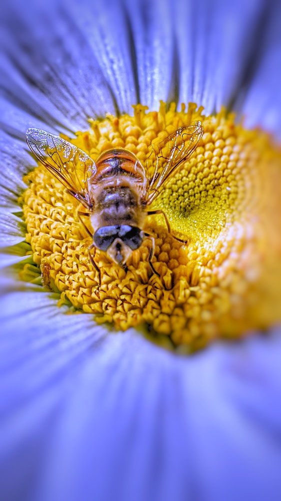 Durante la cuarentena ,la naturaleza se siente más.
