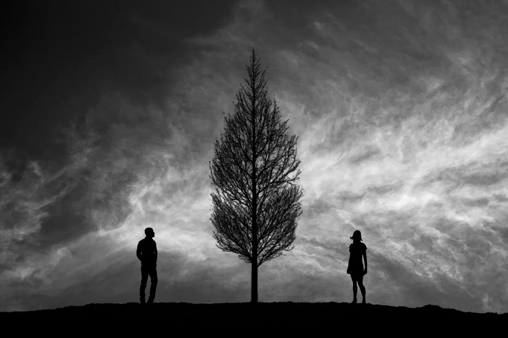 Photograph by Mohammad Tayebi