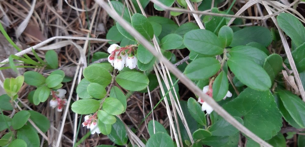 Photograph by Валентина Березина