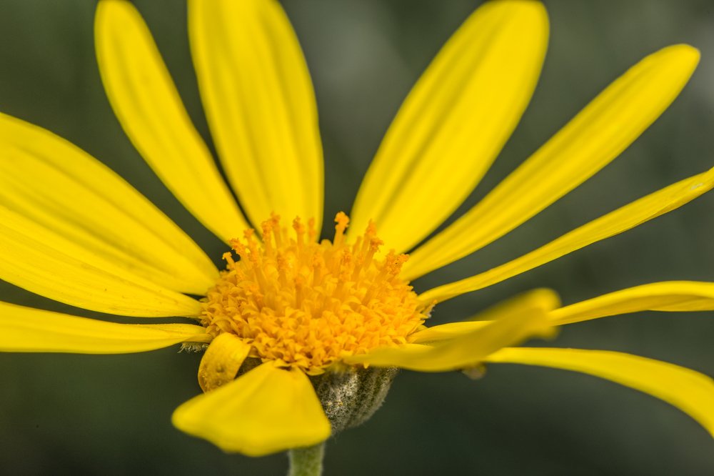 Photograph by Mahir Rustamov