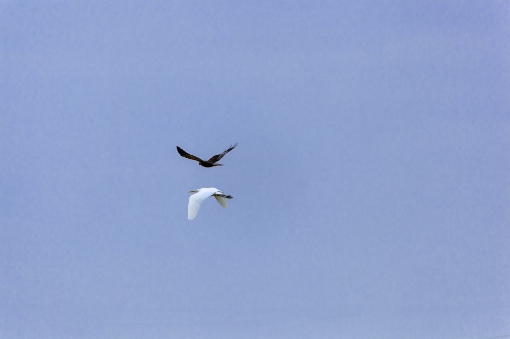 Маскировка