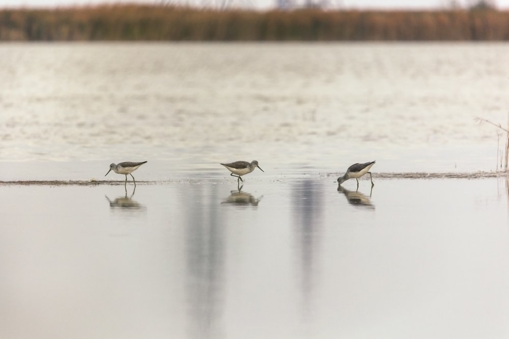 Фотография автора Александр