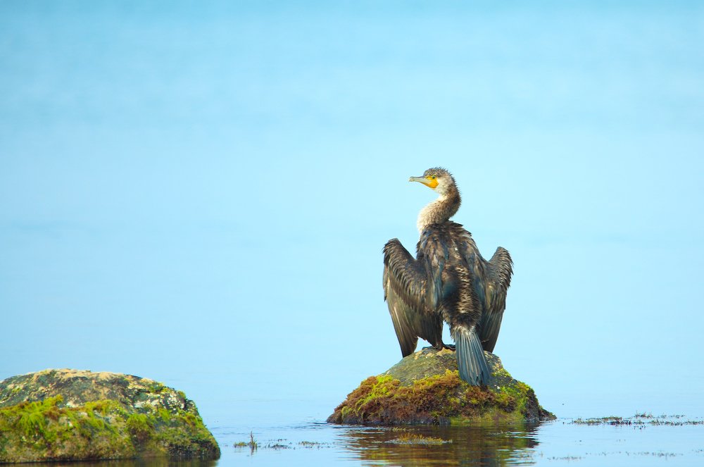 Фотография автора Александр
