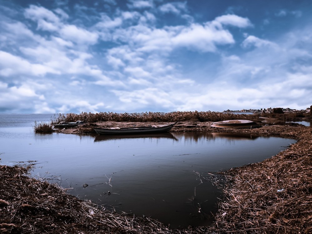 Landscape