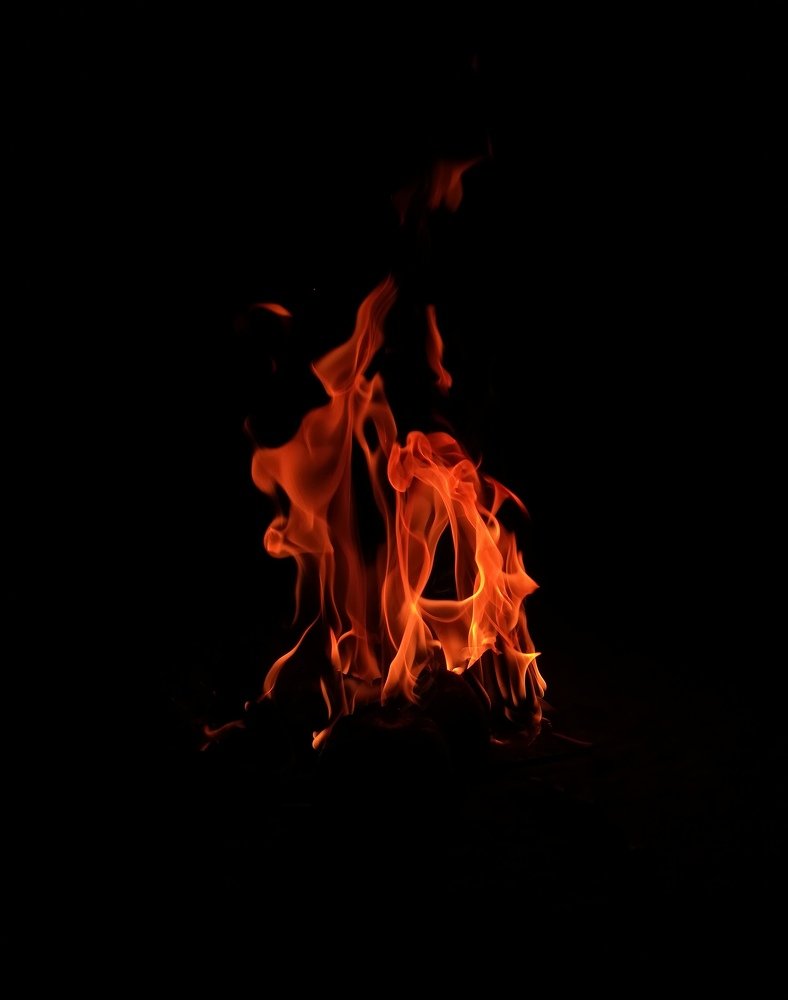 Photo #4533277