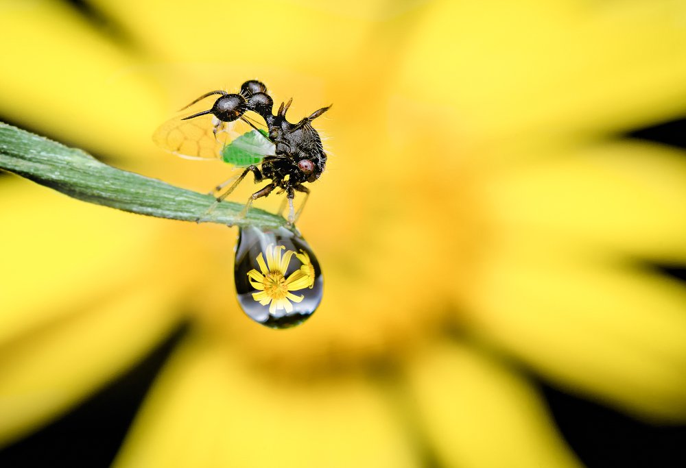 Photograph by Ovidio