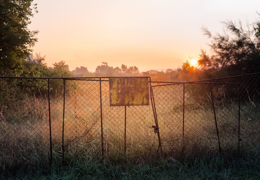 Photograph by Csakvari Janos