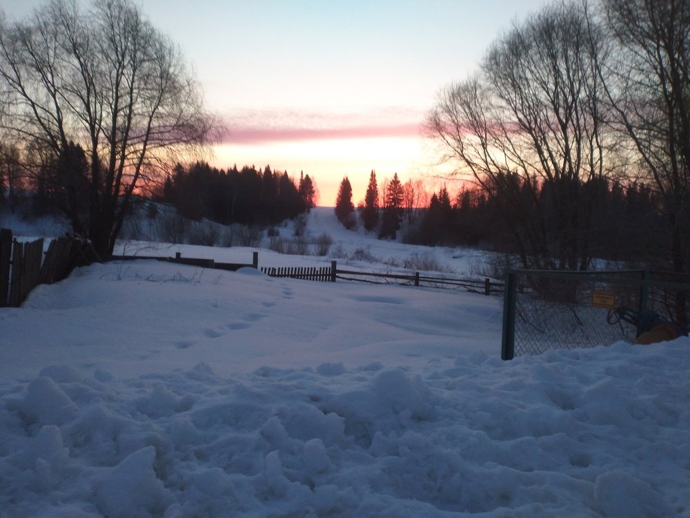 Photo #4533396