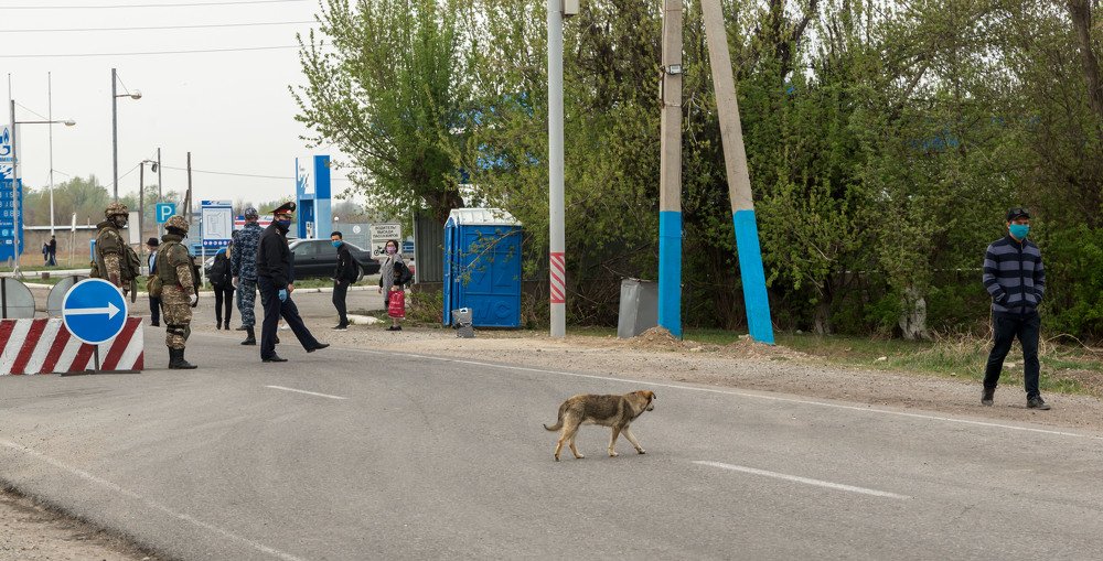 Photograph by Юрий Ким