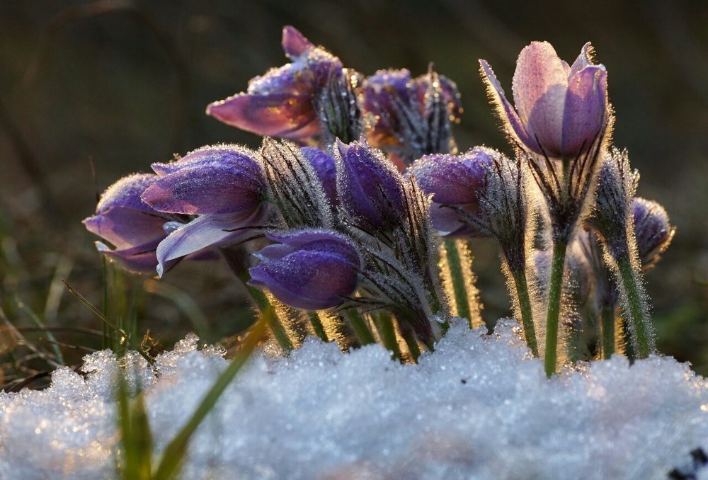 Photograph by Александр Попов