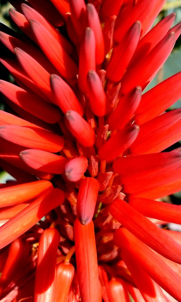 Photograph by Michelle Vaughn