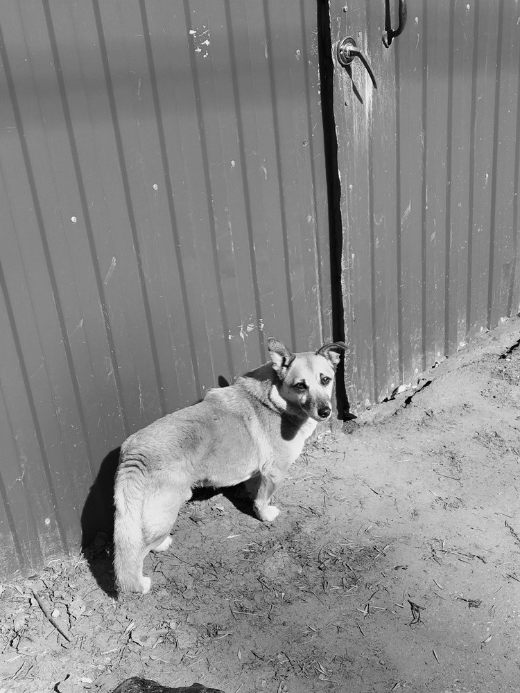 Самоизоляция:не пускают