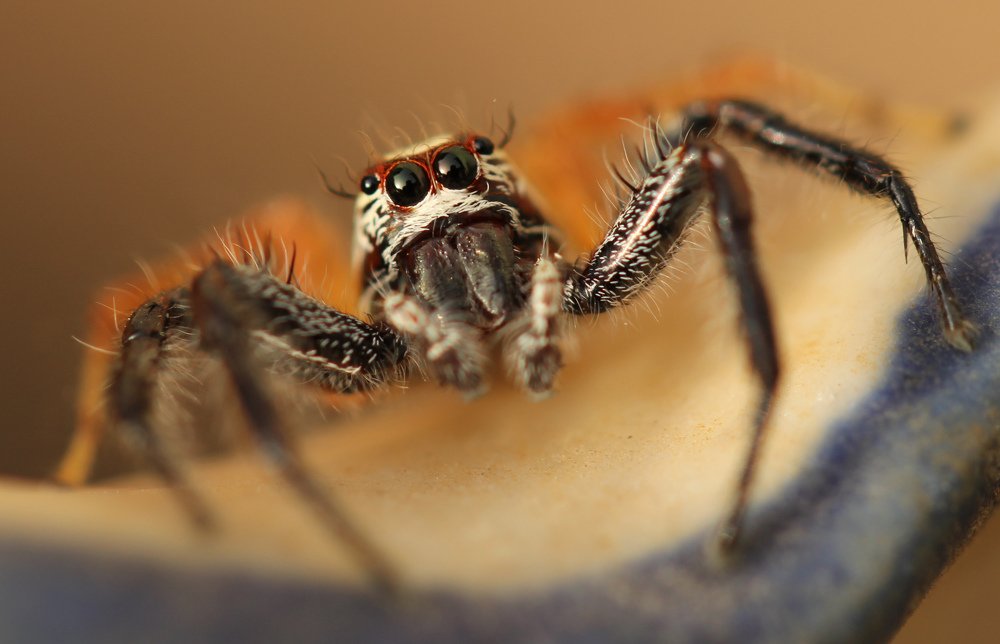 Photograph by Rahul ubale