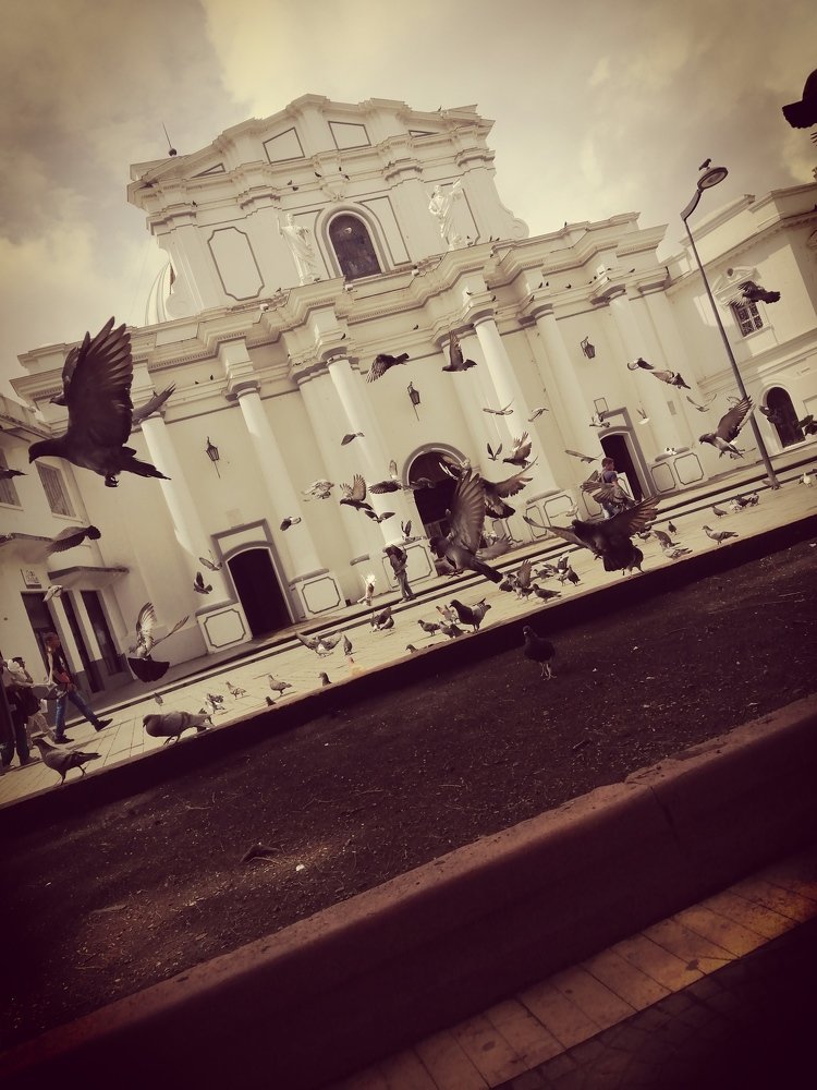Photo #4533595
