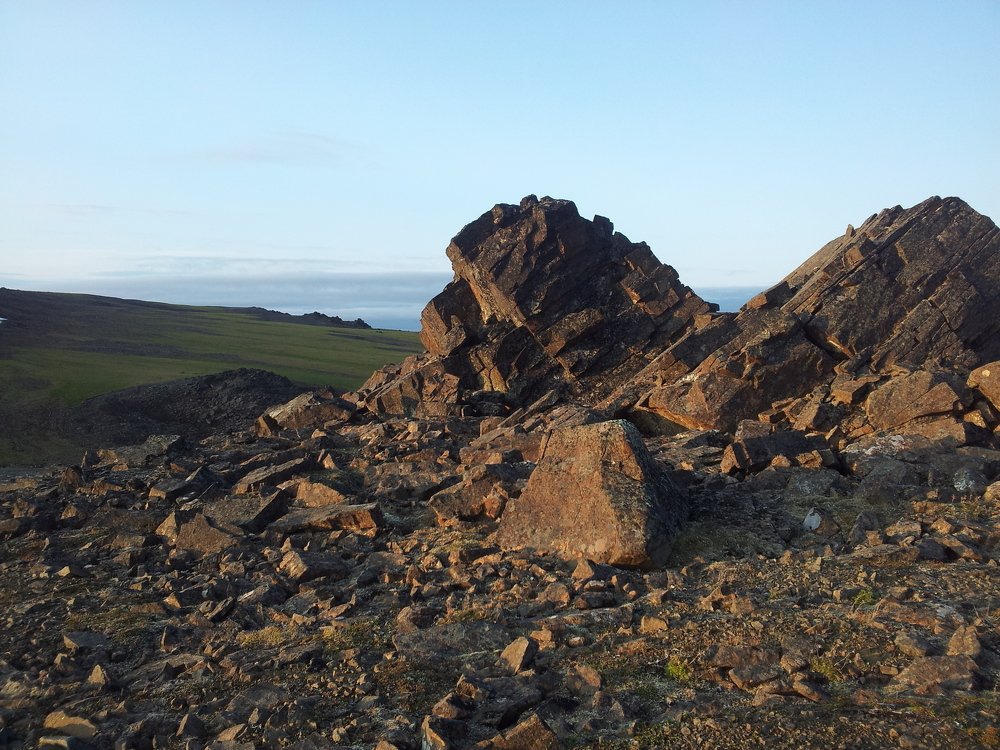 Photo #4533647