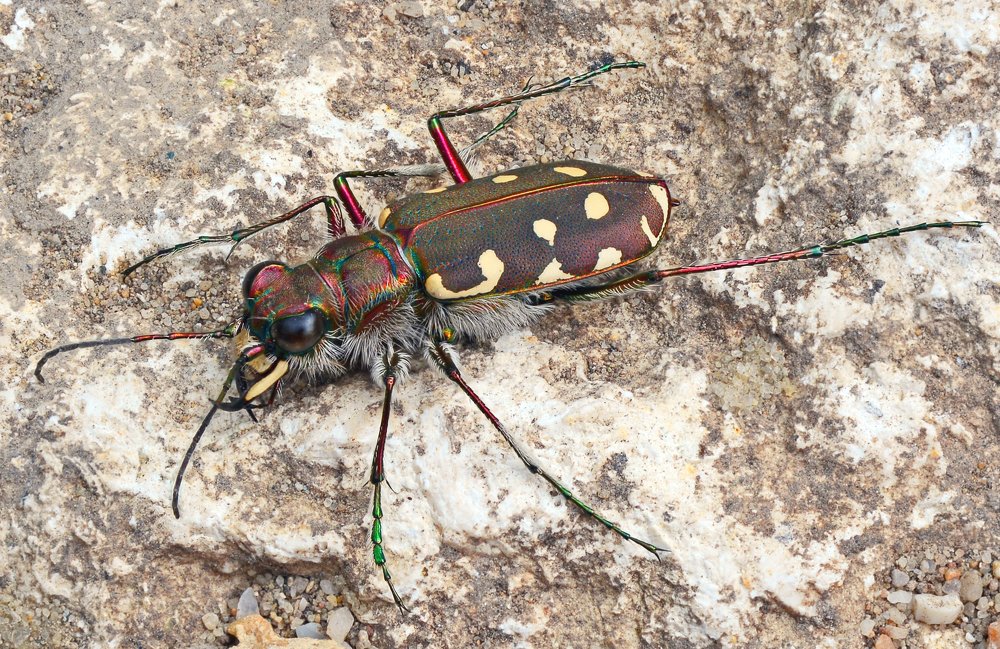 Photograph by Михаил Колтухов