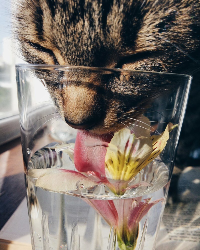 Photograph by Anastasia