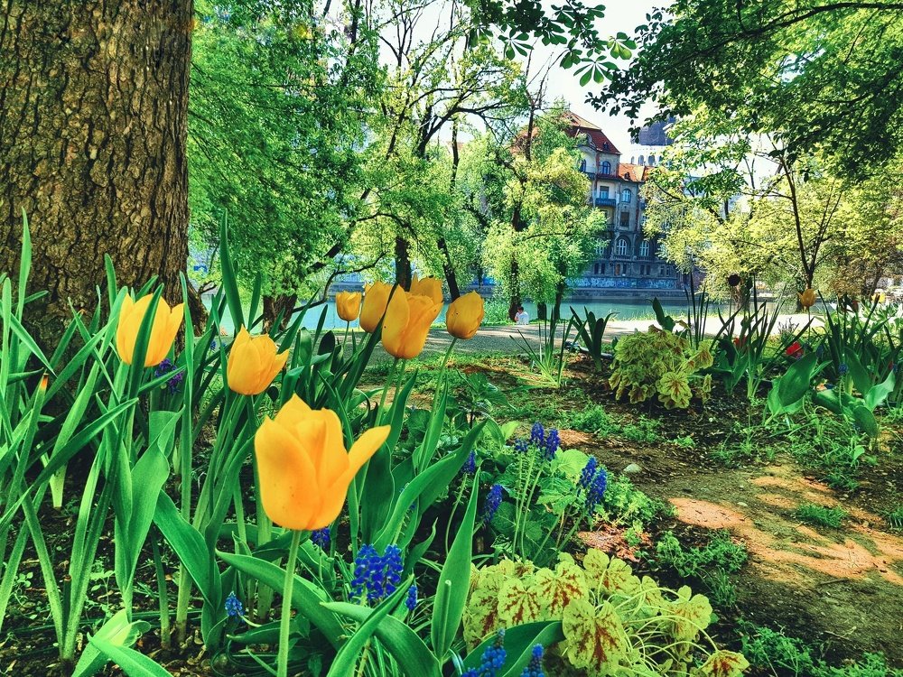 Photograph by Denisa Pantea