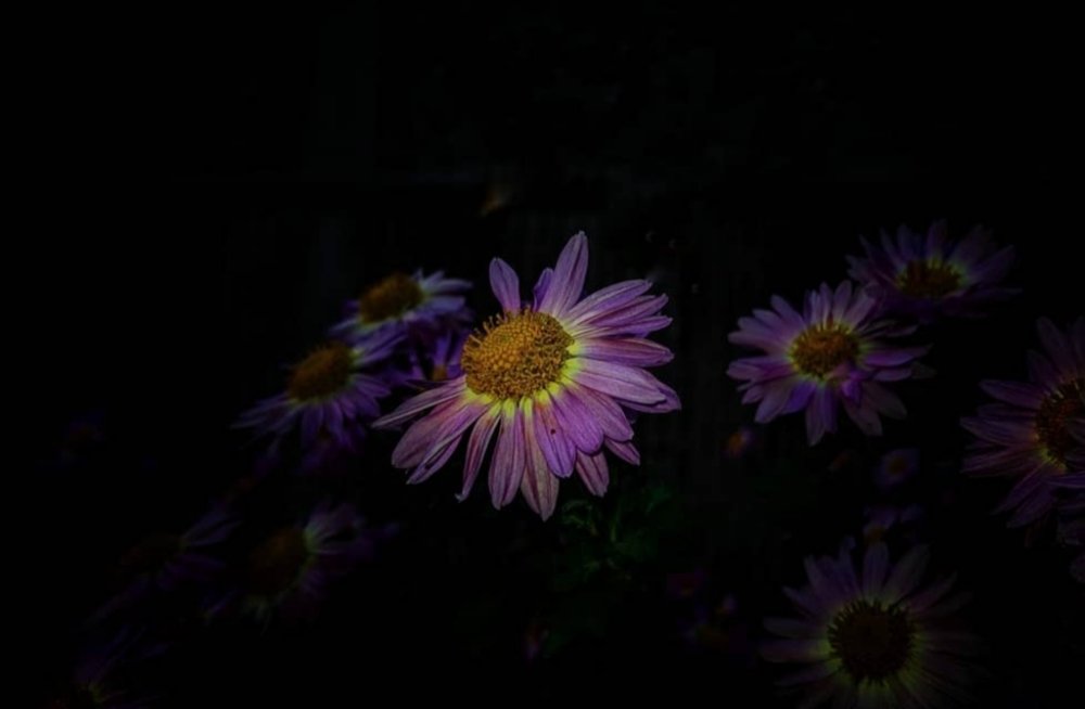 Photograph by Denisa Pantea