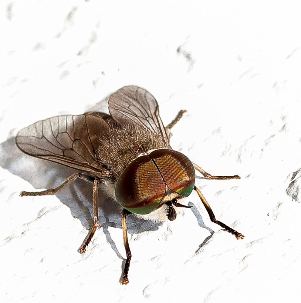 Photograph by Евгений Степанов